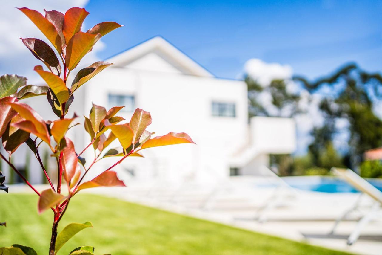Casas Da Padaria Villa Celorico De Basto Dış mekan fotoğraf