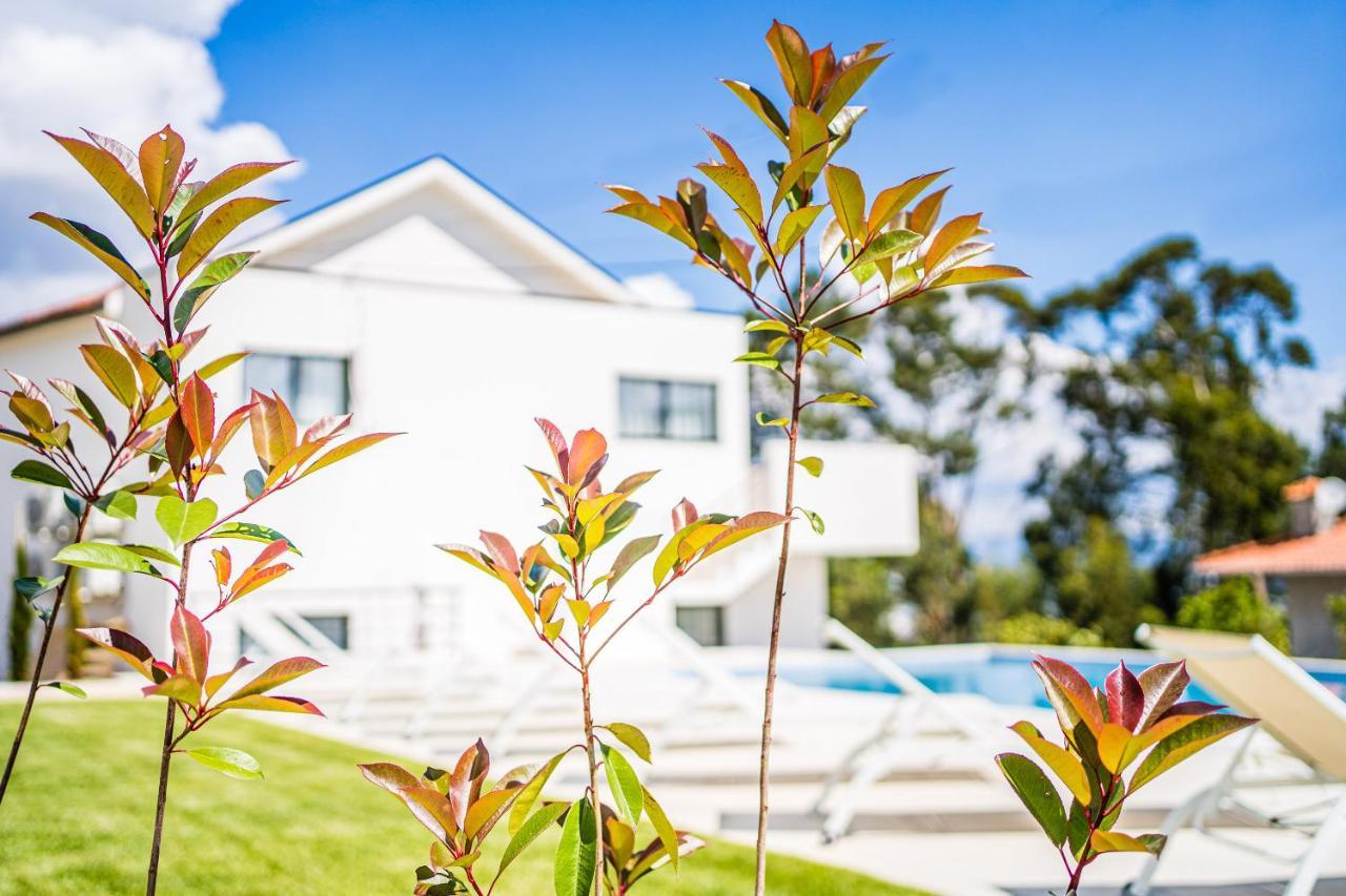 Casas Da Padaria Villa Celorico De Basto Dış mekan fotoğraf